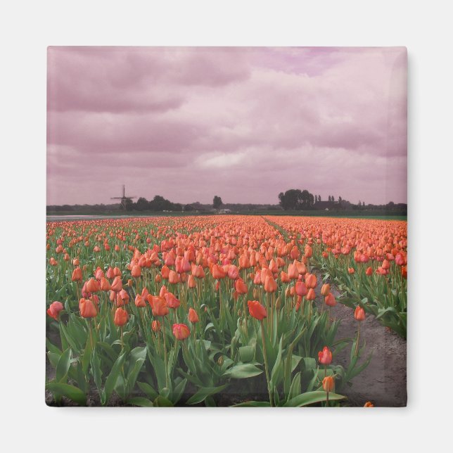 Aimant Paysage des Tulipes rouges (Devant)