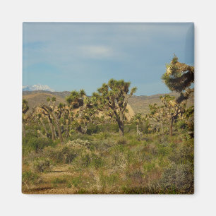 Aimant Paysage désertique du parc national de Joshua Tree