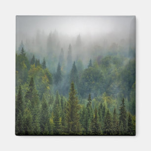 Aimant Paysage forestier de pins bruyants