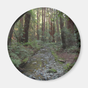 Aimant Paysage forestier du ruisseau de Muir Woods