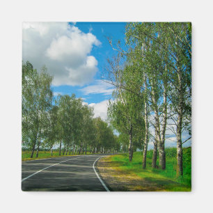 Aimant Paysage naturel Paysage rural Biélorussie Birch Tr
