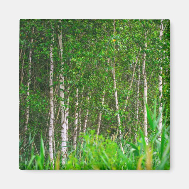 Aimant Paysage naturel Paysages Paysages (Devant)
