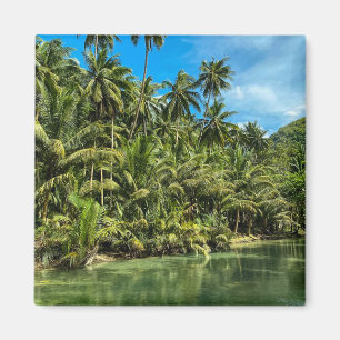 Aimant Paysage tropical, philippines, Kawasan falls Cas