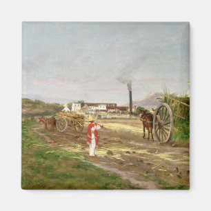 Aimant Paysans rassemblant la canne à sucre