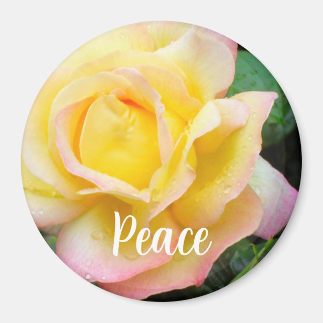 Aimant Peace Rose Photo (Devant)