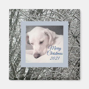 Aimant Peaceful White Puppy Dog Snowy Day Christmas Magne