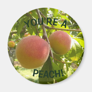 Aimant Peach Photo text Vous êtes un Peach