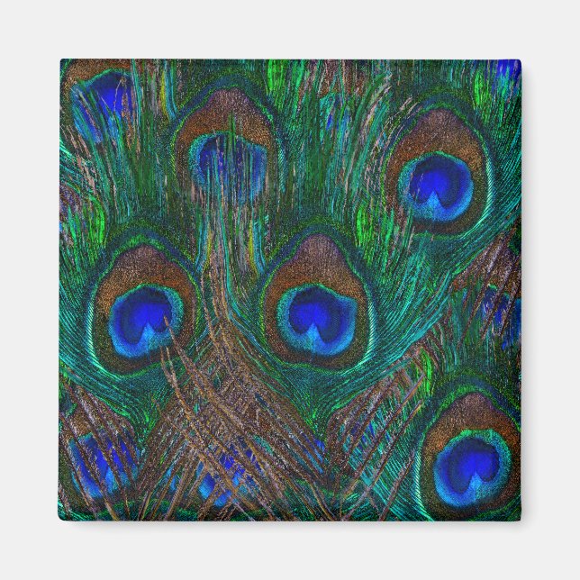 Aimant Peacock Coloré Plumes Etching Style (Devant)