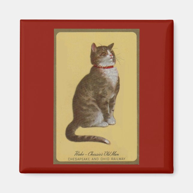 Aimant Peake, le chat tabby de Chessie (Devant)