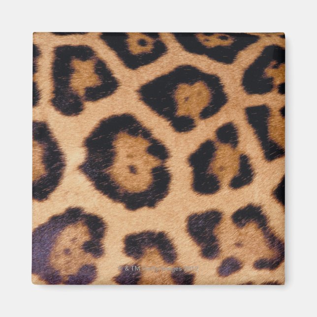 Aimant Peau léopard (Devant)