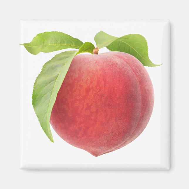 Aimant Pêche rose (Devant)