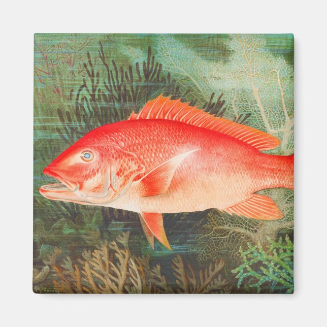Aimant Pêche vintage du Snapper rouge du Nord (Devant)