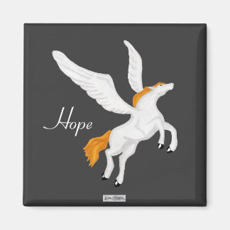 Aimant Pegasus