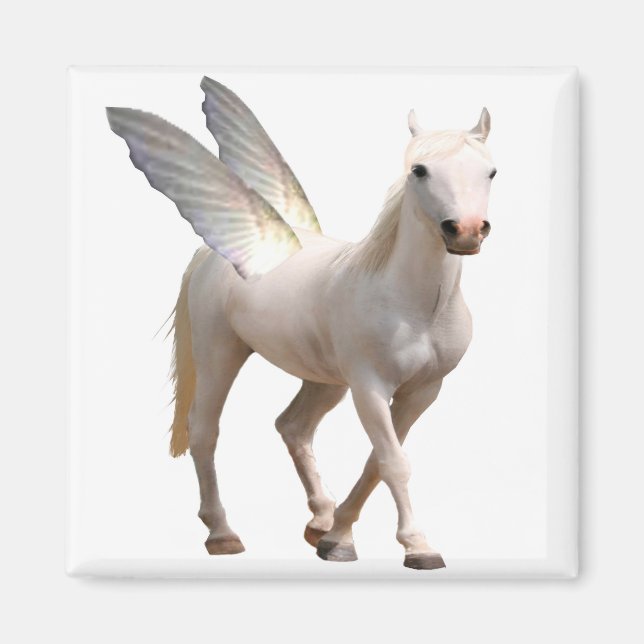 Aimant Pegasus (Devant)