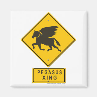 Aimant Pegasus XING