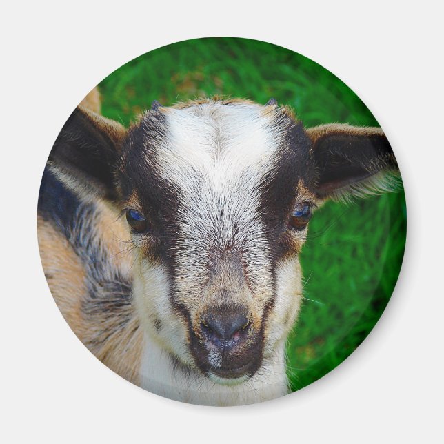 Aimant Peindre (Devant)