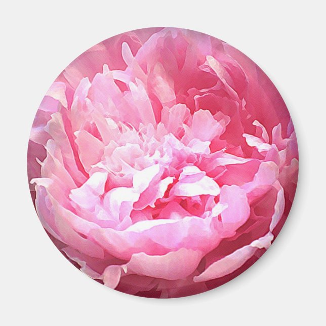 Aimant Peine rose éclos (Devant)