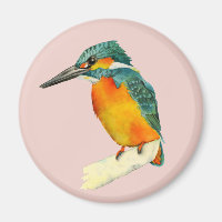 Peinture à l'aquarelle Kingfisher Bird