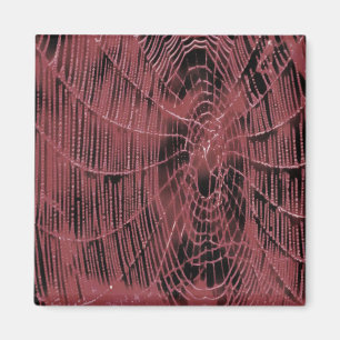 Aimant Peinture Abstraite D'Un Cobweb Magenta Rose