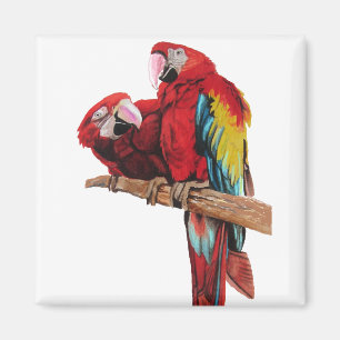 Aimant Peinture couleur rouge Macaw Aquarelle