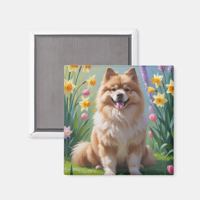 Aimant Peinture de fleurs printanières de chien Keeshond  (Recto/Verso)