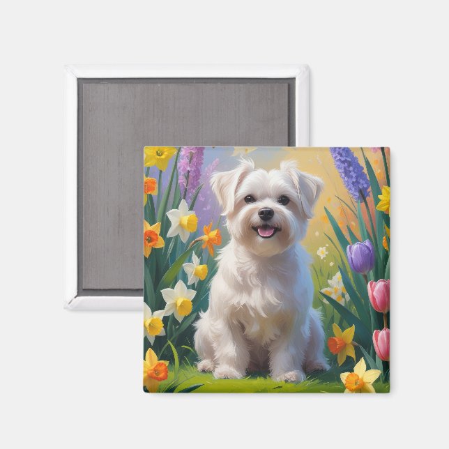 Aimant Peinture de fleurs printanières de chien maltais (Recto/Verso)