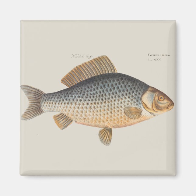 Aimant peinture de pêche de carpe dessin d'eau douce  (Devant)