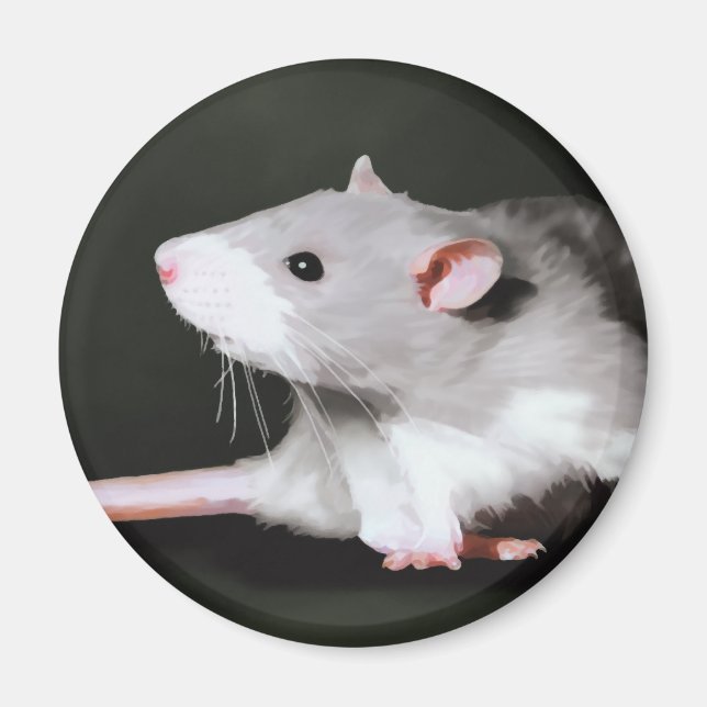 Aimant Peinture de rat mignon (Devant)