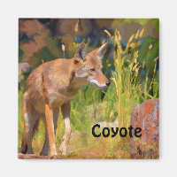 Peinture d'été sur la faune de Coyote