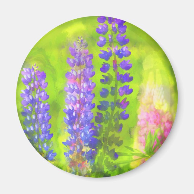 Aimant Peinture Lupine - Art Fleur Original (Devant)
