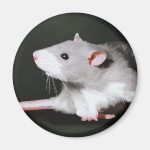 Aimant Peinture mignonne de rat