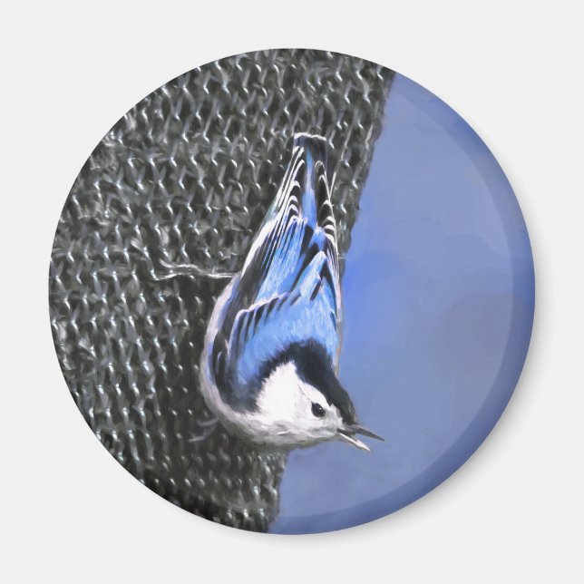 Aimant Peinture Nuthatch à poitrine blanche Art original (Devant)