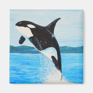 Aimant Peinture Orca
