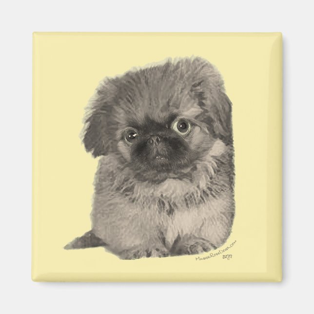 Aimant Pekingese Chiot jaune (Devant)