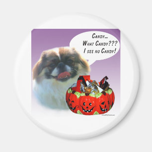 Aimant Pekingese Halloween Candy