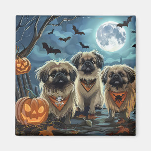 Aimant Pékingese Halloween Éffrayant