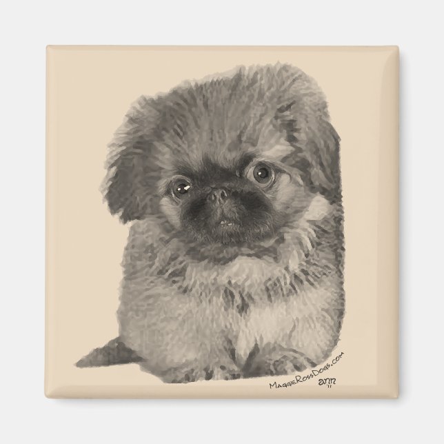 Aimant Pekingese Puppy (Devant)
