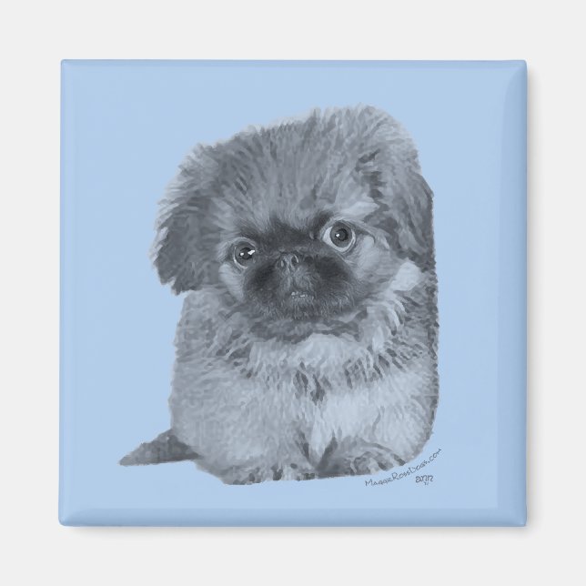 Aimant Pekingese Puppy Blue (Devant)