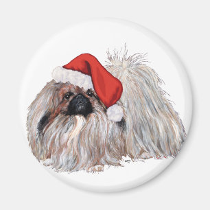 Aimant Pékinois à Noël