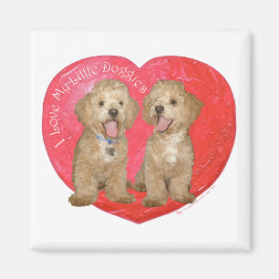Aimant Pékinois / Croisement Caniche Saint-Valentin
