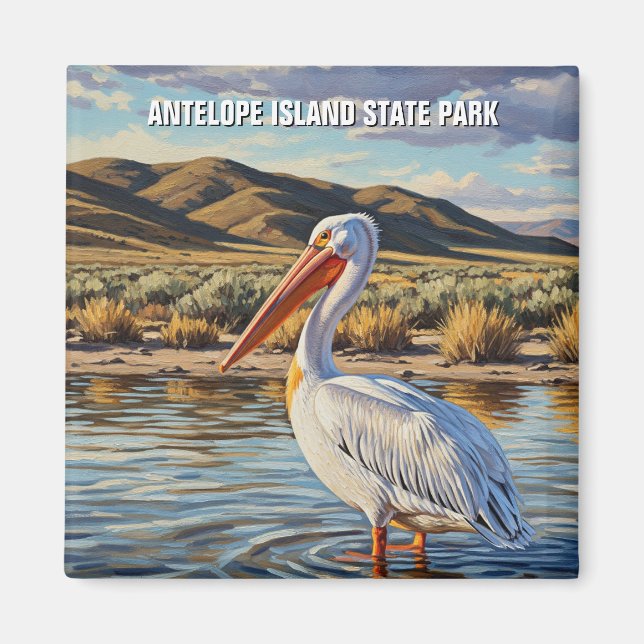 Aimant Pélican dans Antelope Island State Park Utah (Devant)
