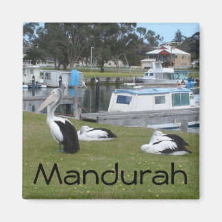 Aimant Pélicans à Mandurah