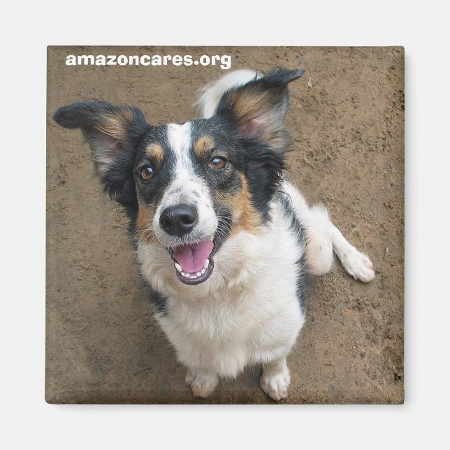 Aimant Pelusa (Devant)