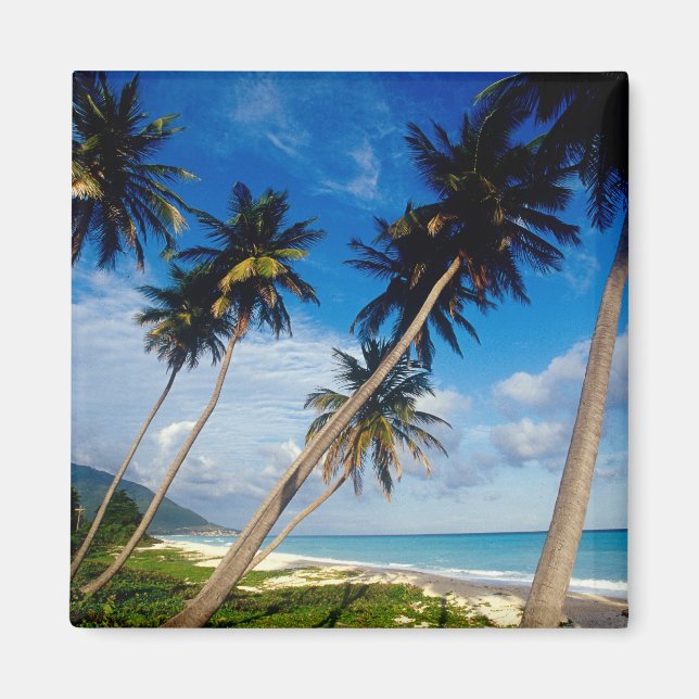 Aimant Péninsule de La Samana, République Dominicaine, (Devant)