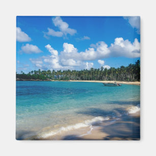 Aimant Péninsule de La Samana, République dominicaine, 
