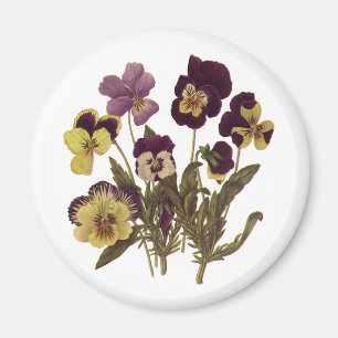 Aimant Pensées vintage en fleurs, fleurs de jardin floral