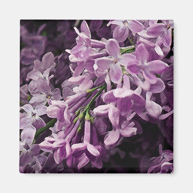 Aimant Perdu à Lilac (Devant)