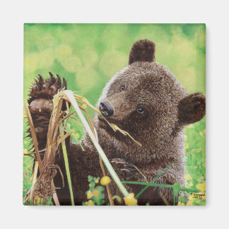 Aimant Perdu à Wonder