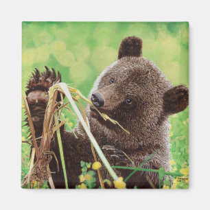 Aimant Perdu dans la merveille