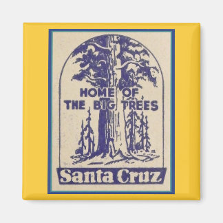 Aimant Père Noël Cruz Califonia - Maison des grands arbre